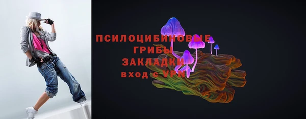тгк Алексеевка