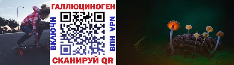 магазин    Брюховецкая  Галлюциногенные грибы прущие грибы 