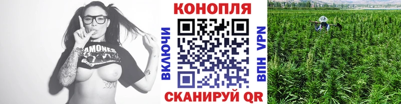 Шишки марихуана индика Брюховецкая